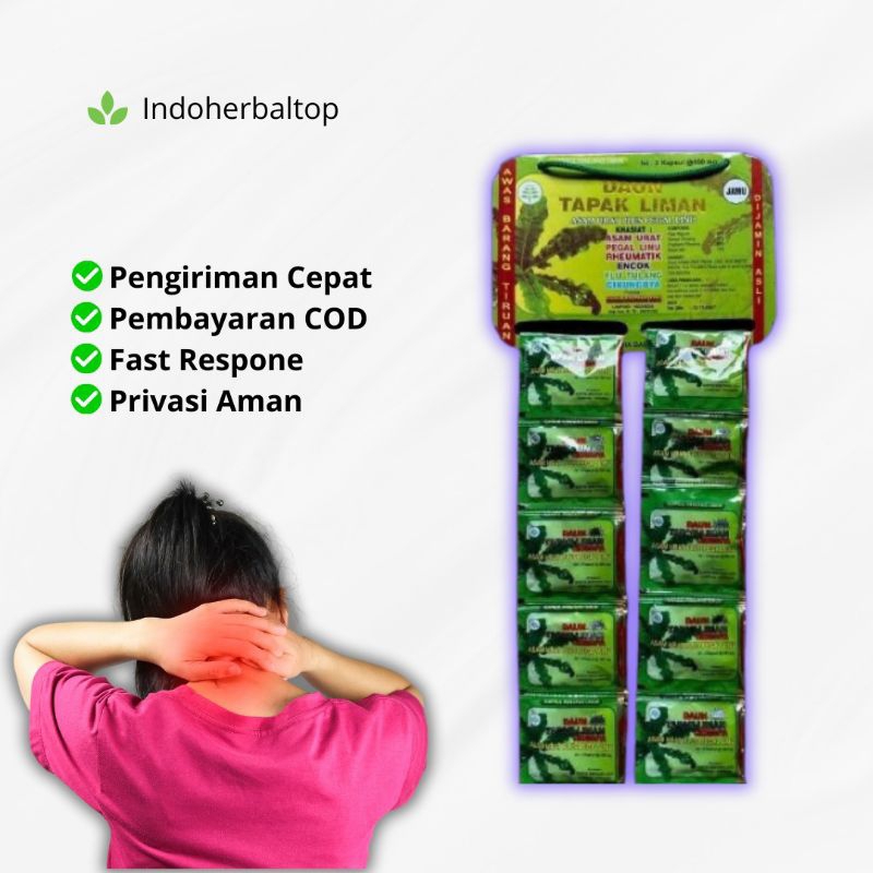 

Daun Tapak Liman Kapsul 1 Hanger Original