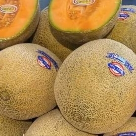 

Melon boga tani hydroponic 1.7kg/ pics