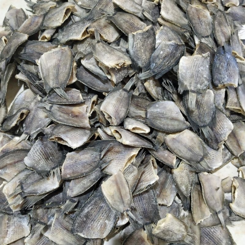 

IKAN ASIN SEPAT | IKAN SEPAT KERING - GURIH,TAHAN LAMA,SIAP MASAK 250 GRAM