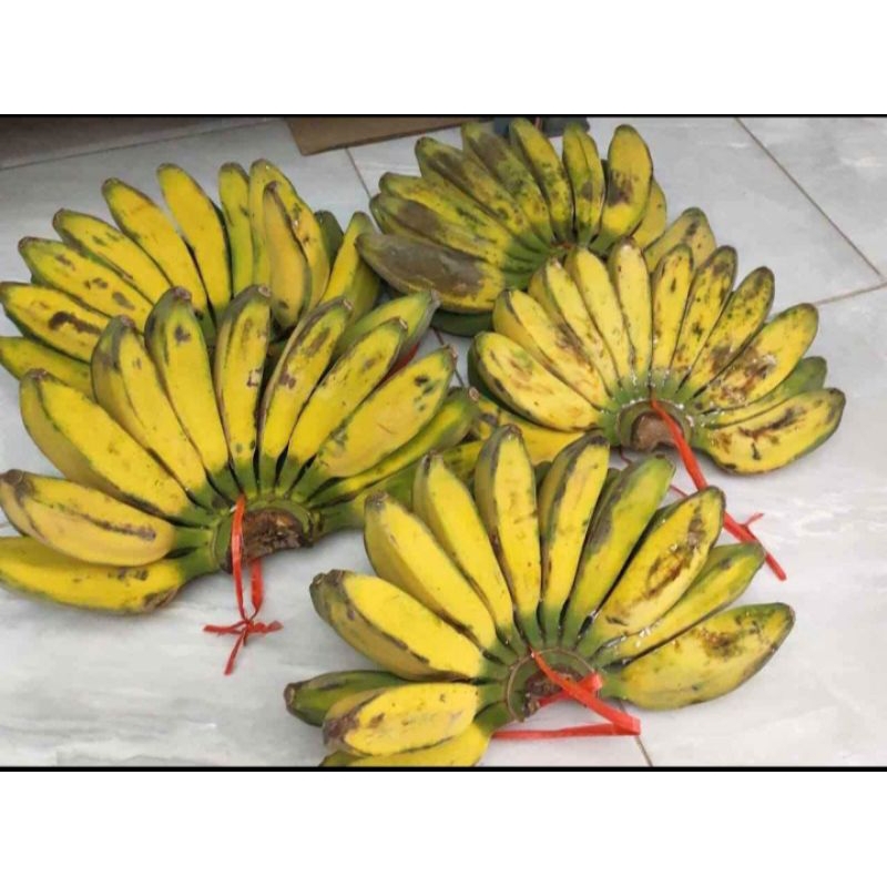 

buah pisang