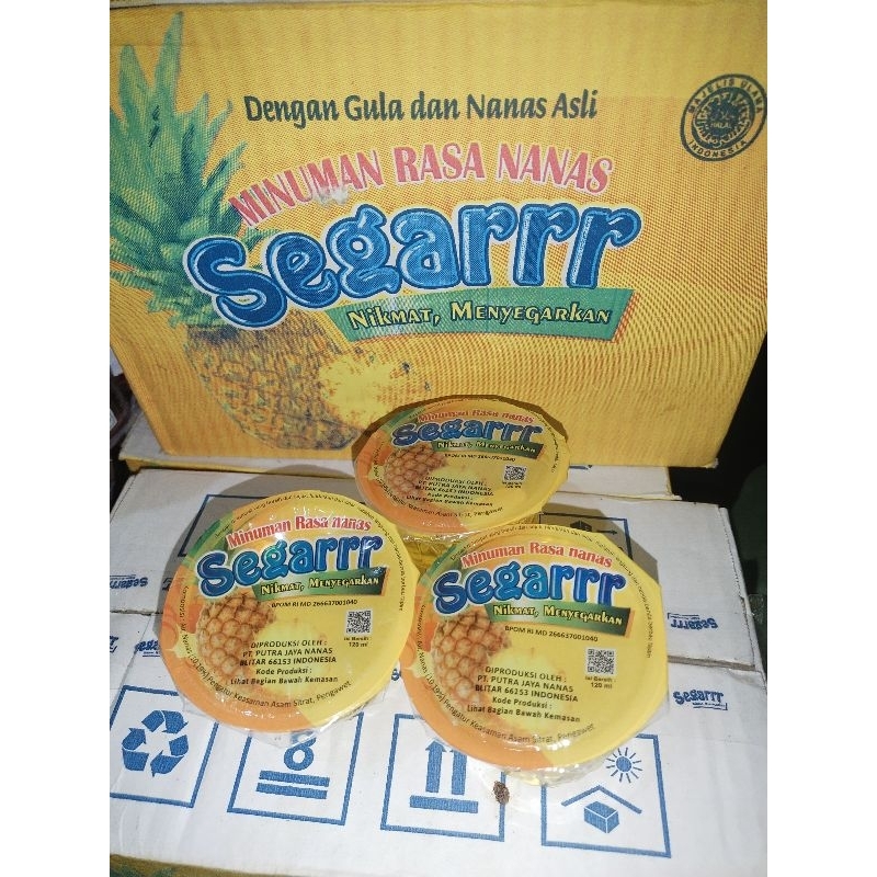 

Segarr nanas