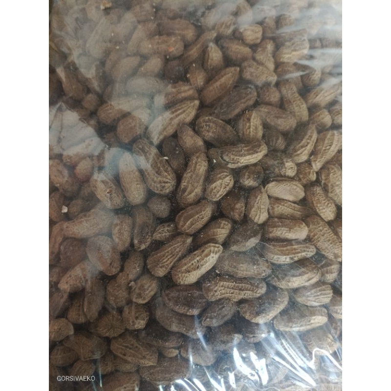 

KACANG GORENG PASIR