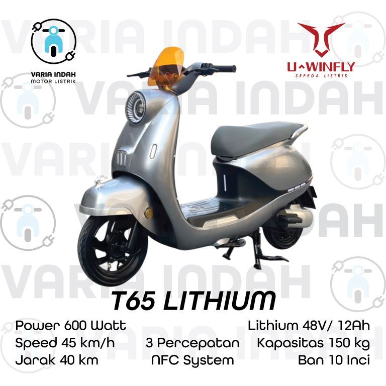 Sepeda Listrik U-Winfly T65L