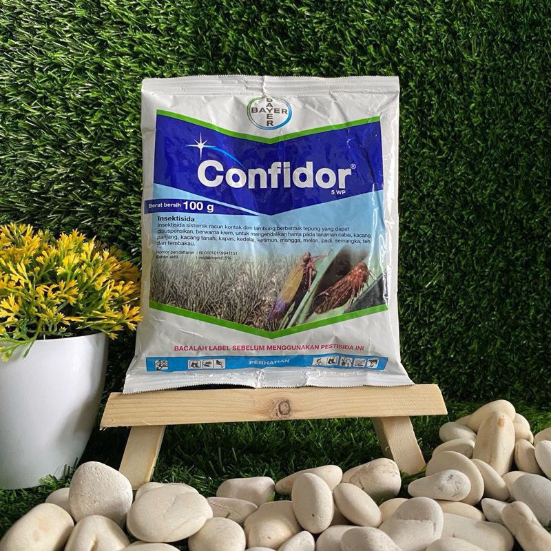 Insektisida Confidor 5 WP 100 gram