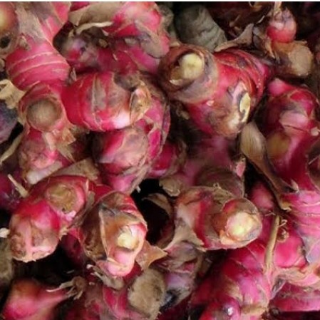 

SW jahe merah segar asli 1/4 kg langsung dari kebun stok terbatas