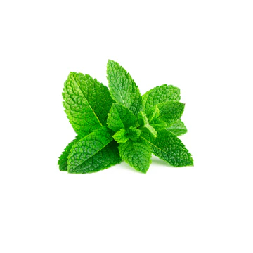 

Capella Fresh spearmint perasa