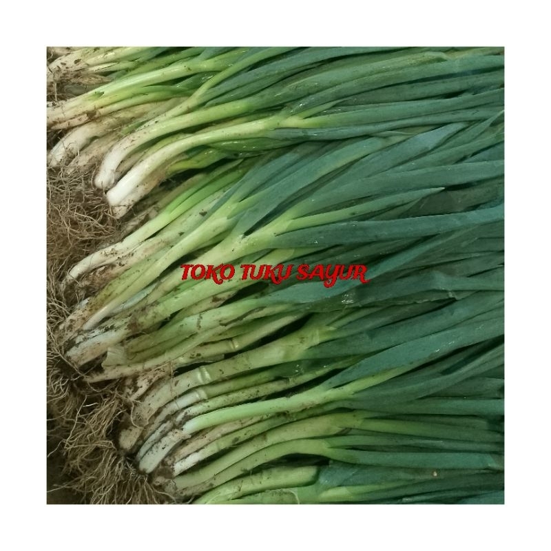 

Daun Bawang 100gr