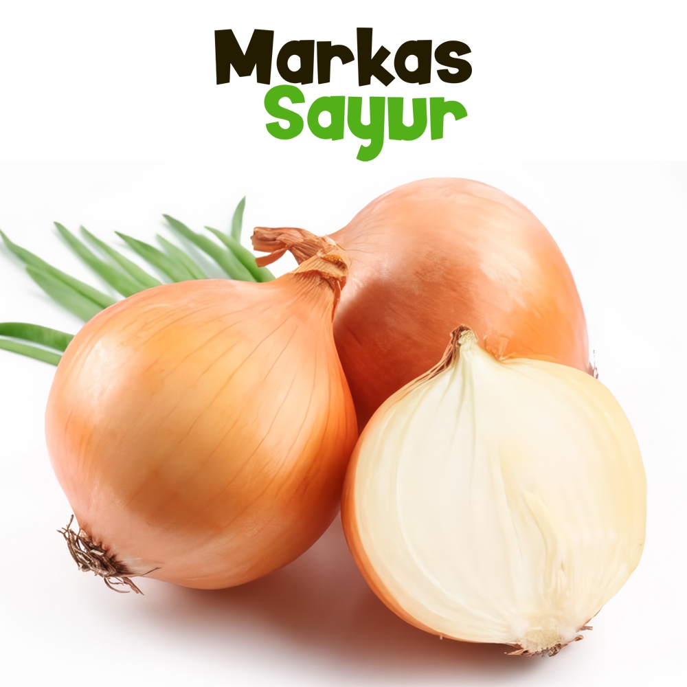 

Bawang Bombay Fresh - Markas Sayur