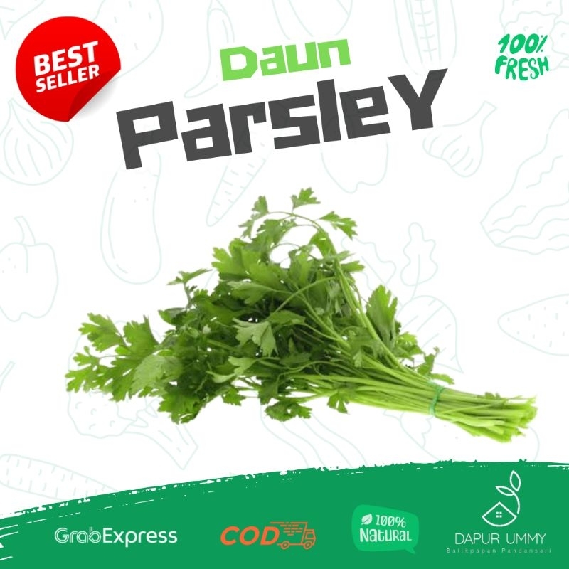 

SAYUR FRESH • Daun Parsley