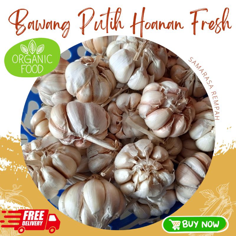 

BAWANG PUTIH HONAN CAMPUR BESAR KECIL SAMARA SAMARASA 1 KG DAN 500 GR