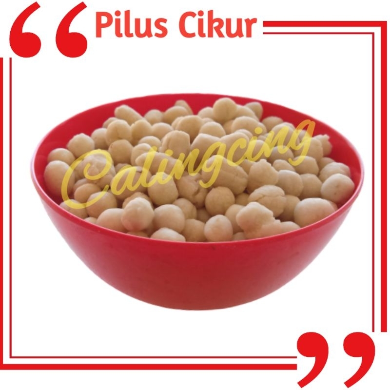 

PILUS/SUKRO CIKUR SARI RASA