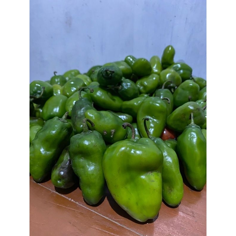 

Cabe Gendot Dieng Hijau Fresh Cabe Gendot Pesas Nampol