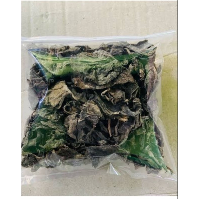 

Daun binahong kering tnpa ranting