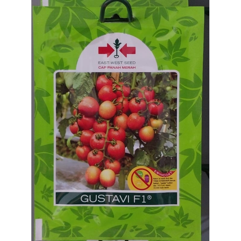 Bibit/Benih Tomat Gustavi F1 isi 150biji