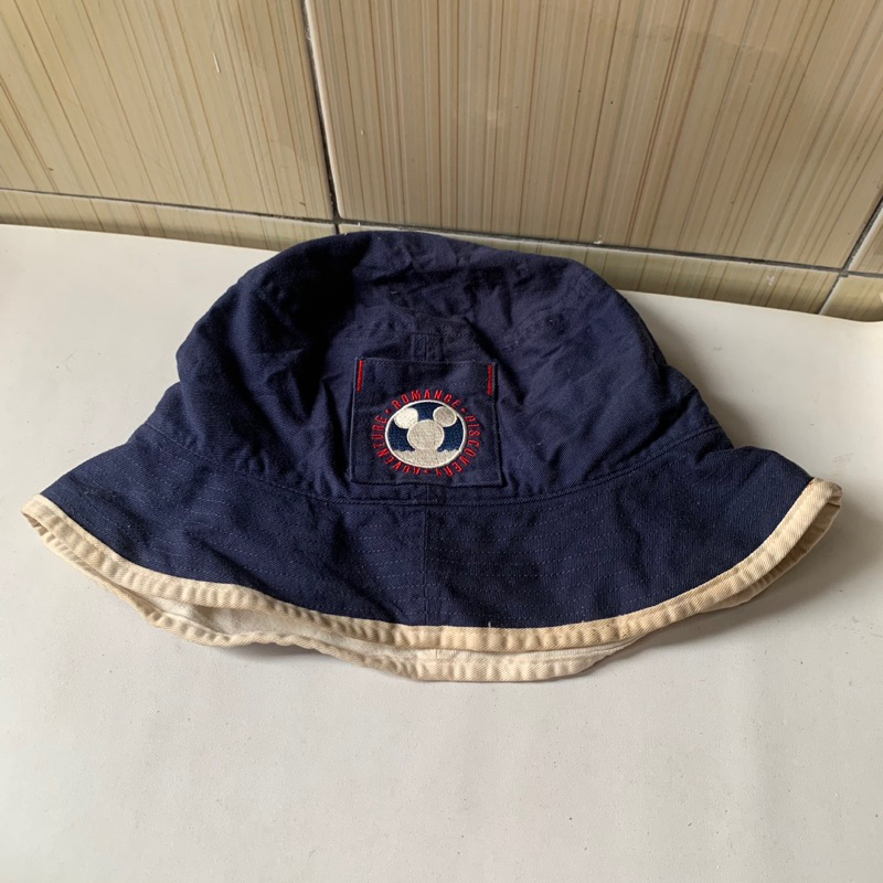 topi disney