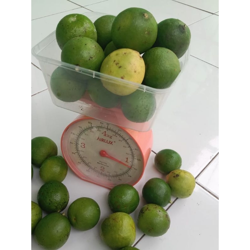 

jeruk nipis segar 1 kg isi 13 pcs