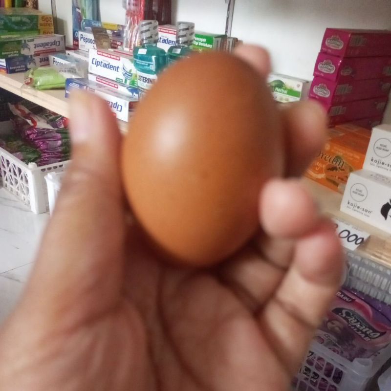 

Telur Ayam 1 kg