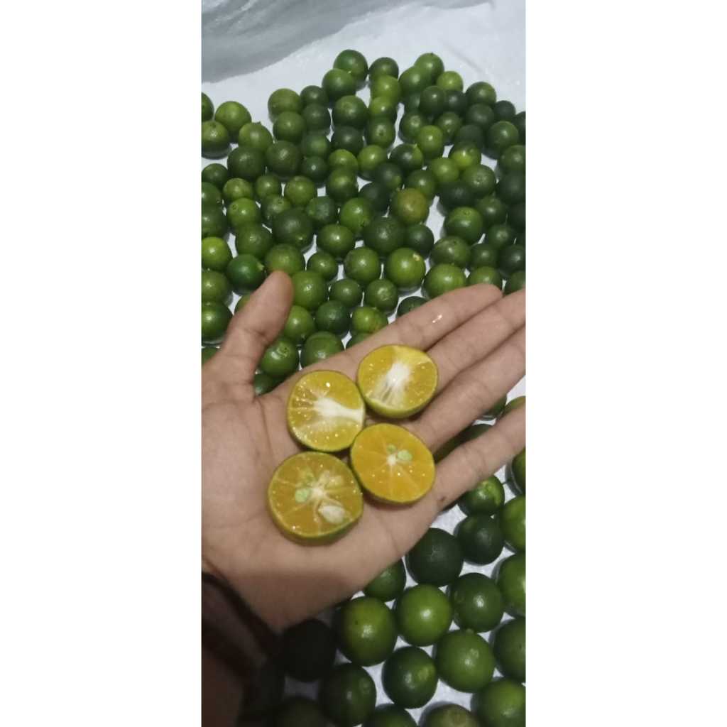 

Jeruk peras 250gram/jeruk kasturi/lemon cui/jeruk sonkit ukuran besar