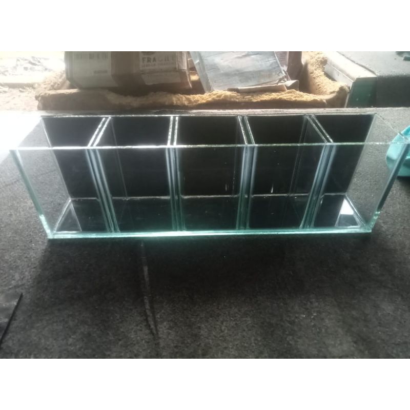 Akuarium soliter cupang sekat 5 besar backgroun kaca hitam