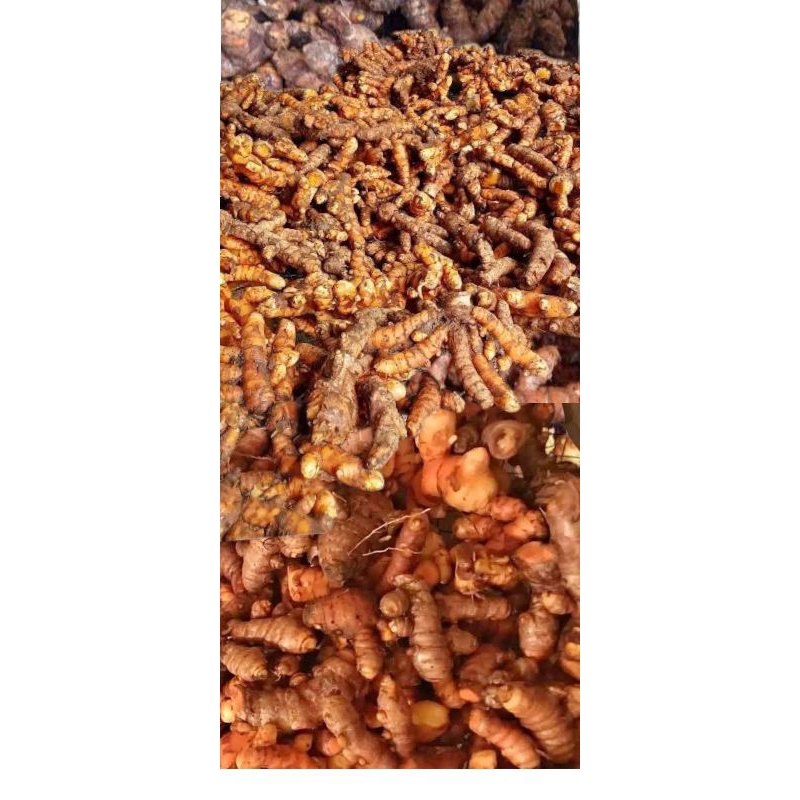 

kunyit kuning fress 250-1kg