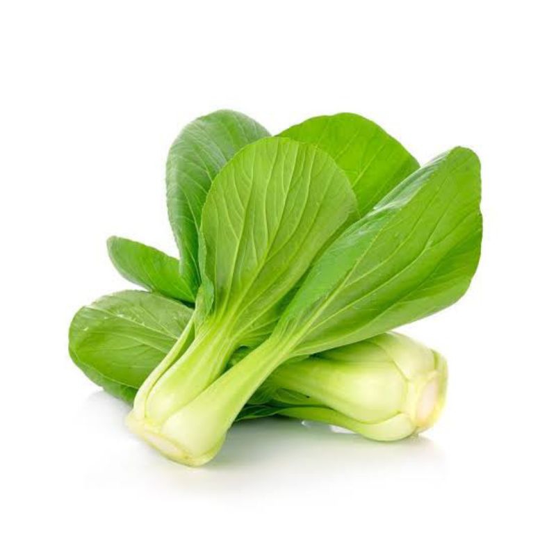 

sayur pak choi segar fresh pasar pagi