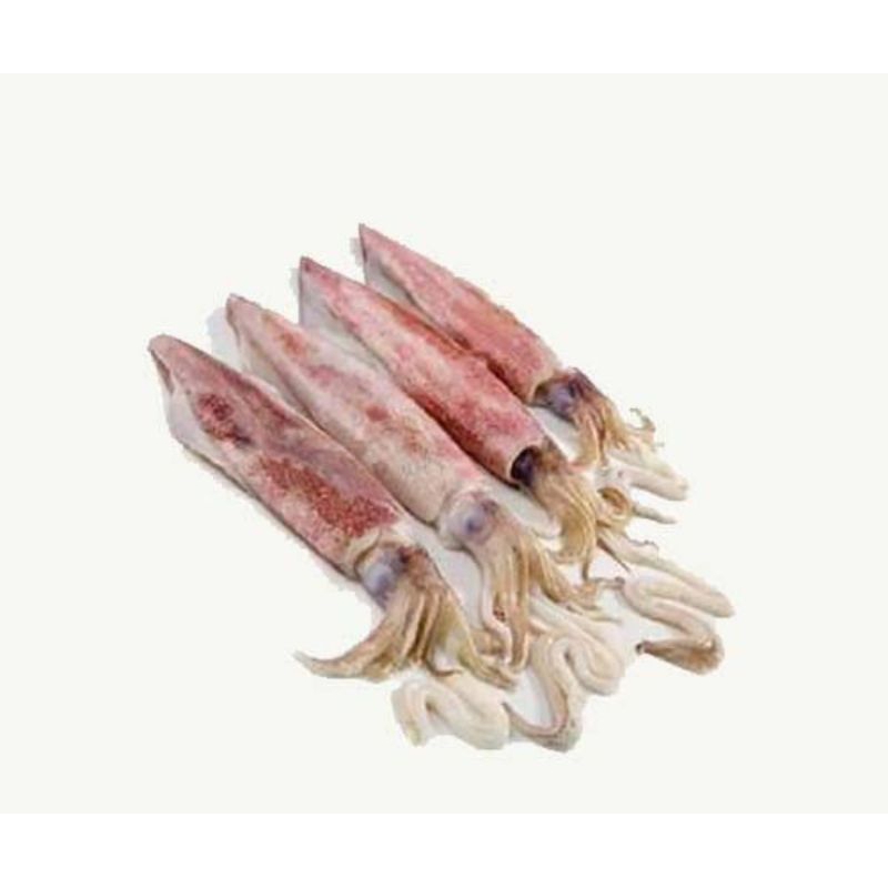 

Cumi segar 500gr