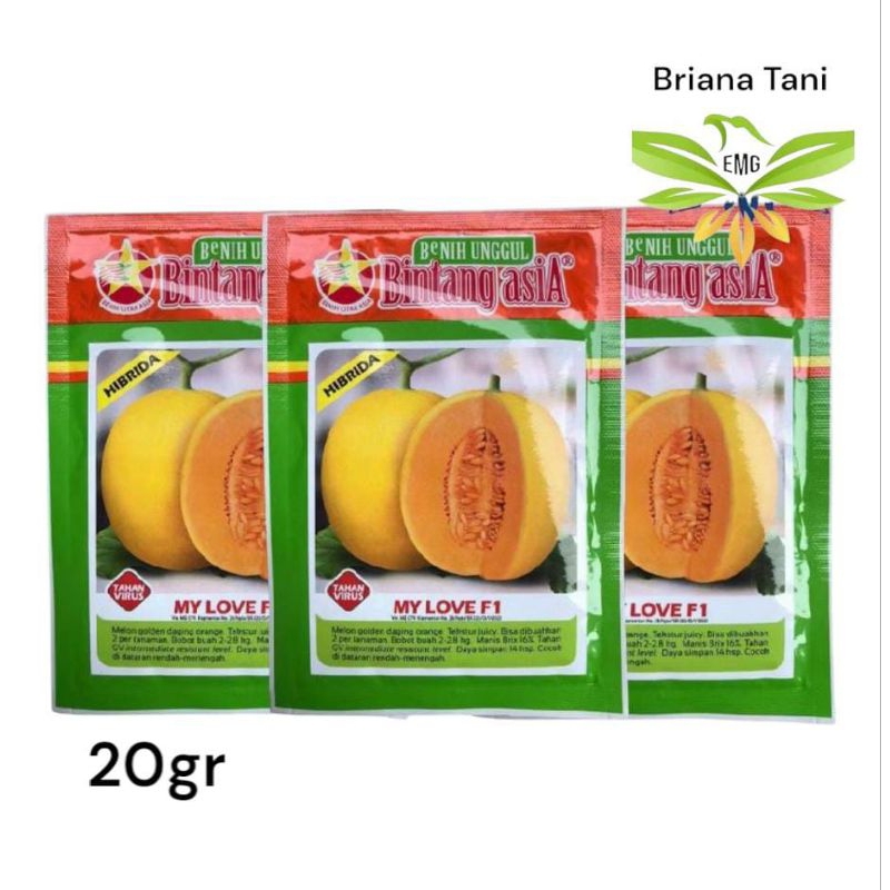 My Love 20gr Benih Melon Golden Bintang Asia Eksis