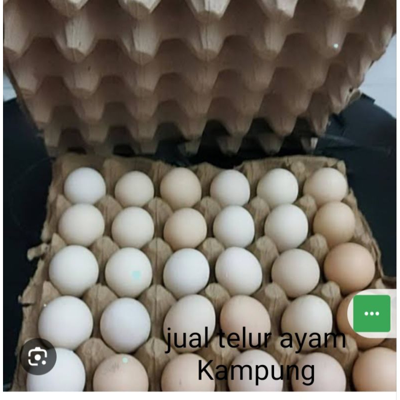 

telur ayam kampung
