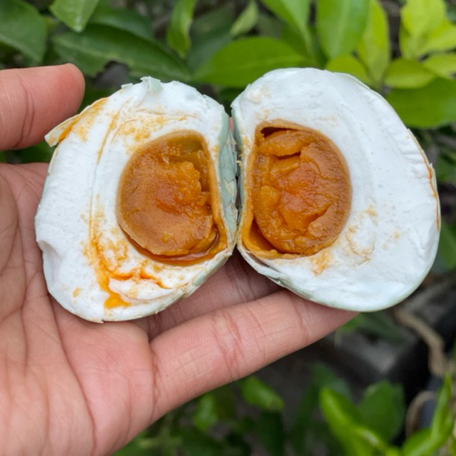 

TELUR ASIN ECHO ASLI MURAH BERKUALITAS ENAK GURIH MASIR KHAS BREBES 100%