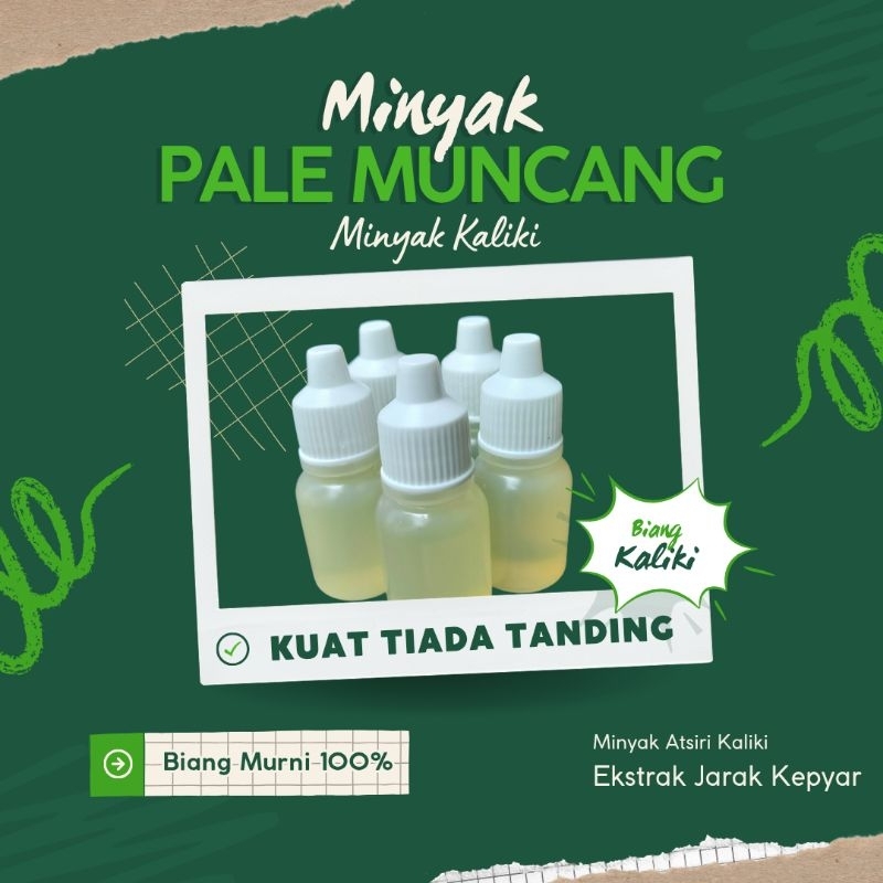 Minyak Pale Muncang Adu Minyak Kaliki Minyak Sulingan Ektrak Kaliki Jarak Kepyar Murni Atsiri Biang 
