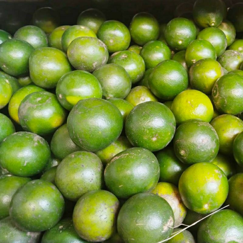 

Jeruk Peres (1kg)Super Segar – Manis, Berair, Siap Jadi Jus Favoritmu!