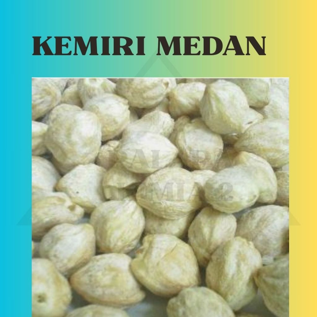 

KEMIRI MEDAN ASLI
