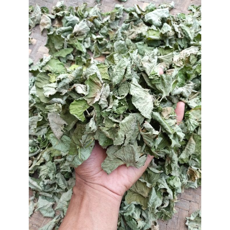 

Daun pegangan kering tanpa batang per kemasan termurah