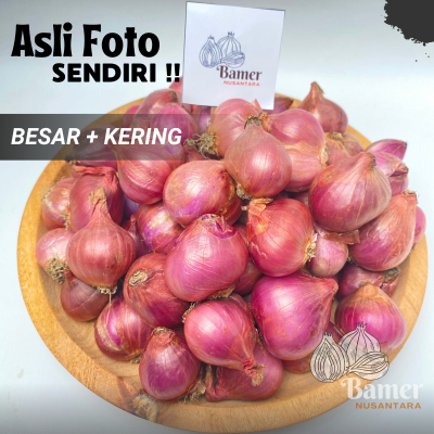 

Bawang Merah Probolinggo 1 KG Termurah Sedang Campuran Kering Tidak Mudah Busuk Gratis Ongkir Bamer Kering 250 500 GR Gram 1/2 1/4 KG