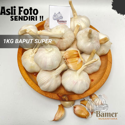 

Bawang PUTIH Termurah Grosir Murah 3 5 10 KG Lokal Nganjuk Kering Baput Putih Bersih Premium Untuk Masakan 3 5 10 Kg Murah Promo Gratis Ongkir Kating Honan Sinco Bawang Super