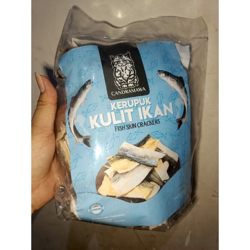 

Kerupuk Kulit Ikan Laut Premium Rasa Asin Nikmat Bisa Langsung Digoreng