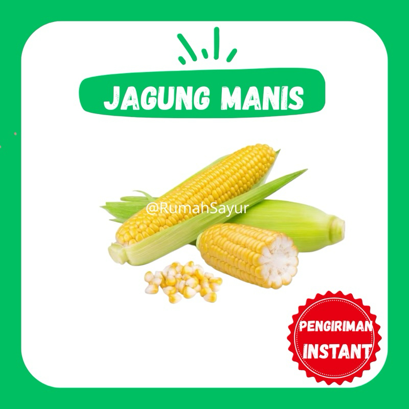 

[KIRIM INSTANT] JAGUNG MANIS - RUMAH SAYUR