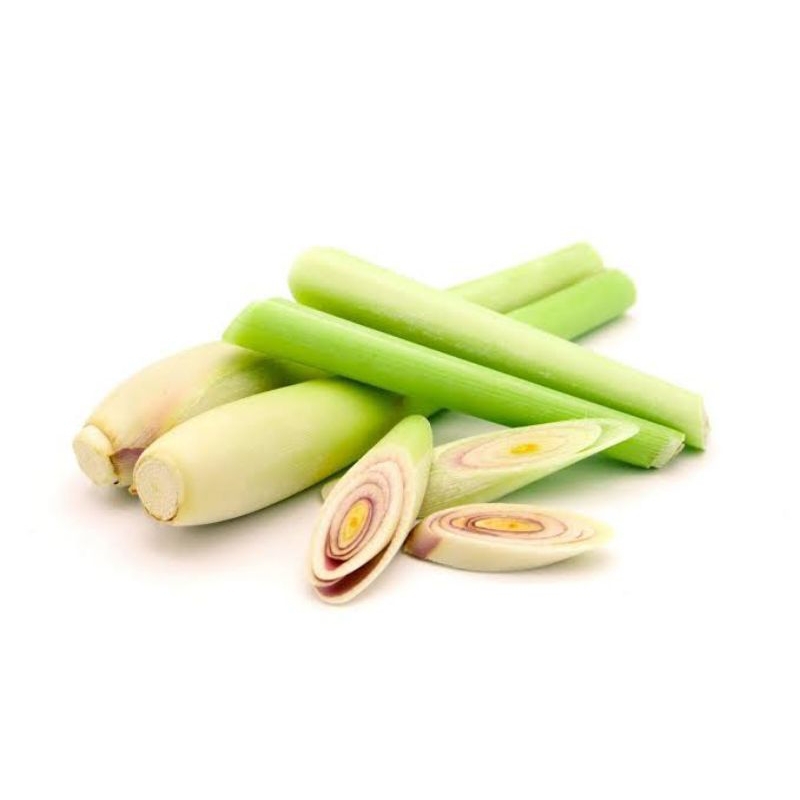 

sereh dapur sereh gajah sereh paha ayam. harga diatas untuk 1kg