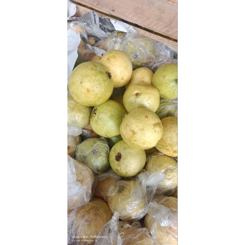 

Jambu Merah 1kg