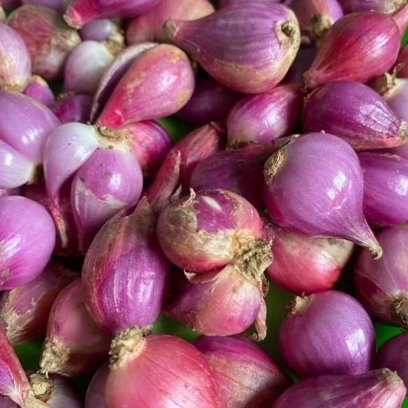 

Bawang Merah 1 KG Grade B Fresh