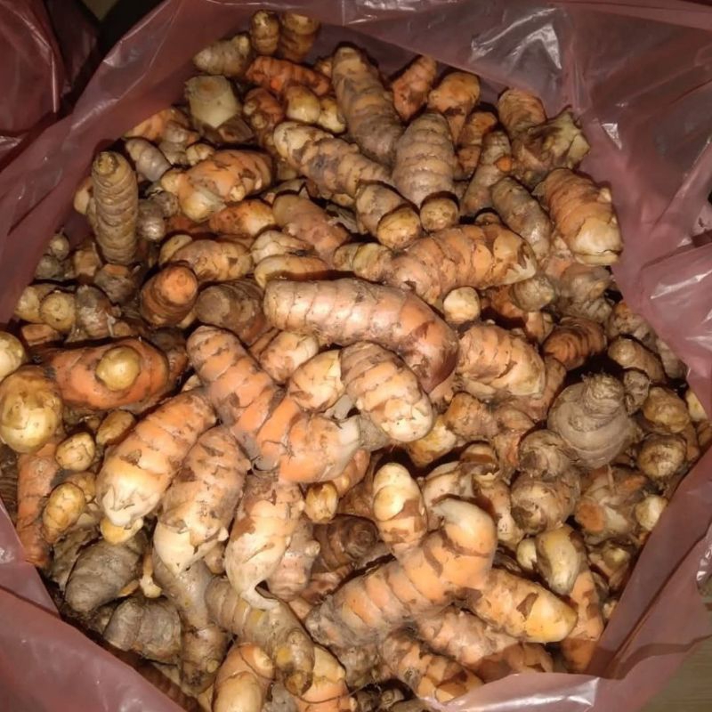 

(1 Kg) Kunyit segar kaya manfa'at