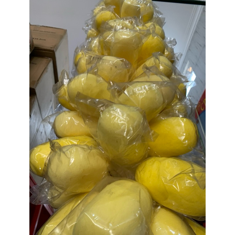 SPON MANDI AYAM BULAT SPON AYAM OVAL ALAT MANDI AYAM ORIGINAL