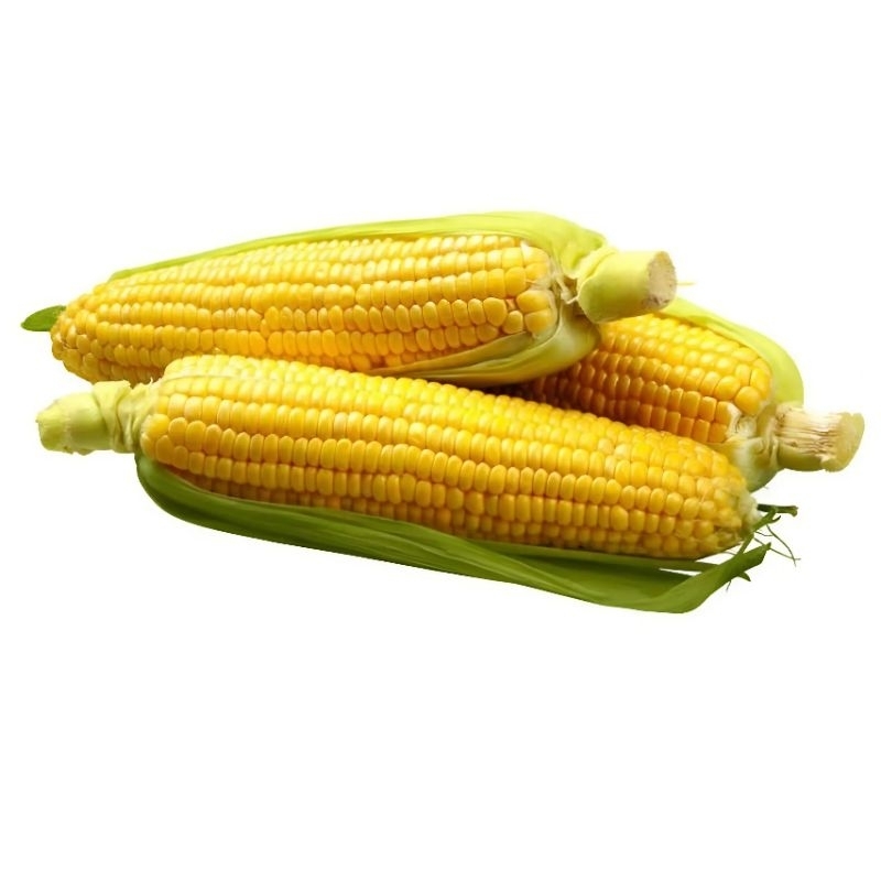 

Jagung Manis