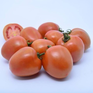 

Tomat Buah Fresh 500gram - Sayur Instan Segar Malang