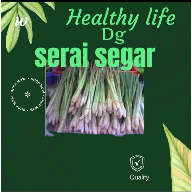 

serai segar satu ikat 10 batang, yang siap menyehatkan dan melezatkan masakan