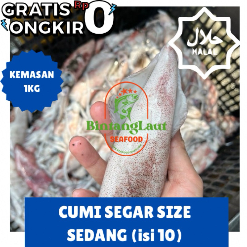 

FRESH CUMI SEDANG KEMASAN 1KG (ISI -+ 10EKOR)