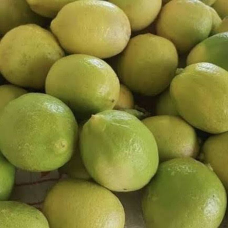 

Jeruk Lemon 1 Kg Murah Fresh