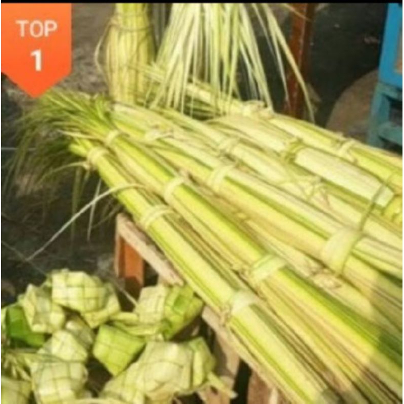 

janur kuning kelapa muda