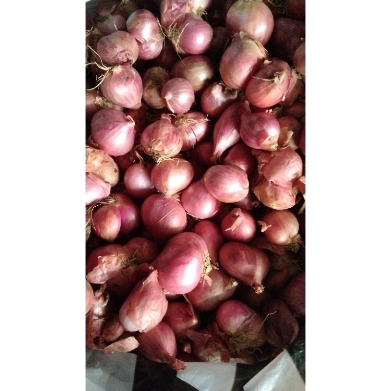 

bawang merah 500gr ukuran sedang+campur