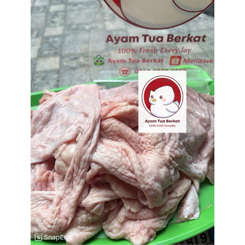 

Fresh Kulit Ayam muda / ayam boiler/ chicken skin